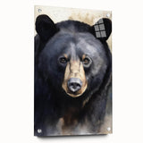 Black bear wall art design displayed in an acrylic glass frame, showcasing a side view with visible mounting pins, perfect for nature-themed decor.