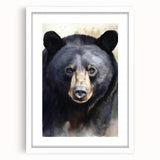 Black bear wall art design in a white frame with a mat, showcasing intricate details and natural colors, perfect for wildlife enthusiasts and home decor.