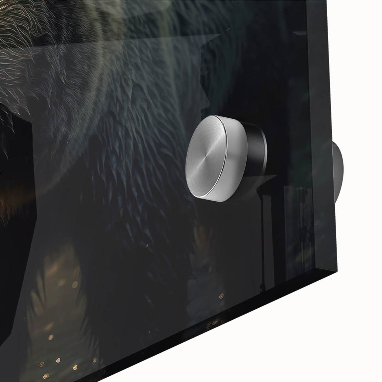 Close-up of a stunning black bear wall art design on acrylic glass, showcasing intricate details and vibrant colors, perfect for wildlife enthusiasts and home decor.