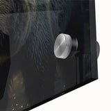 Close-up of a stunning black bear wall art design on acrylic glass, showcasing intricate details and vibrant colors, perfect for wildlife enthusiasts and home decor.