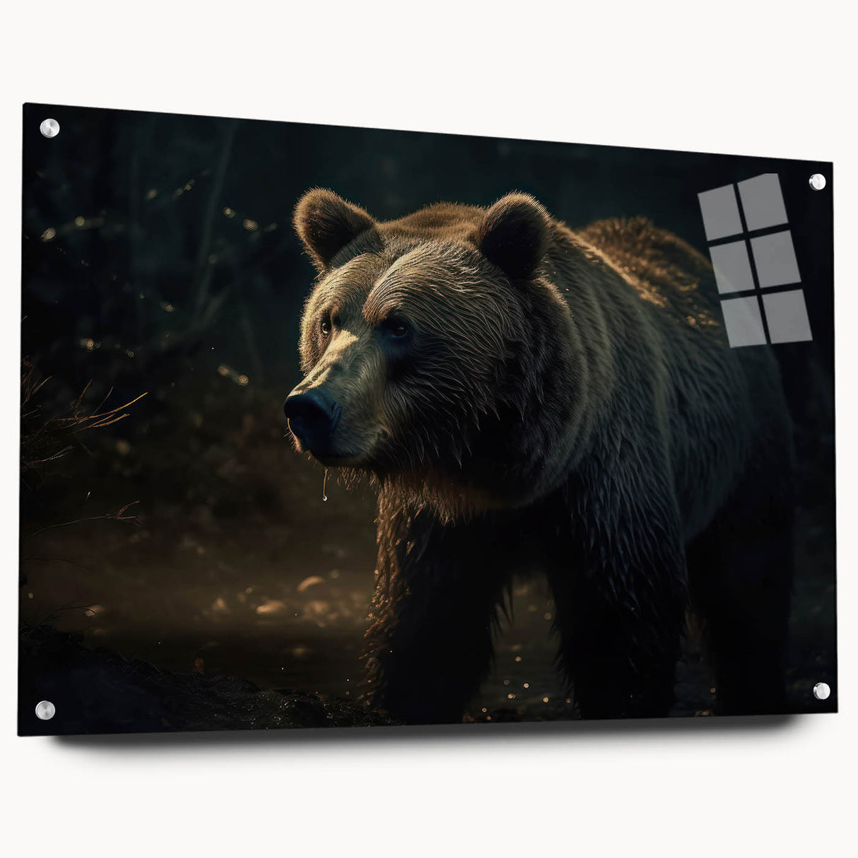 Black bear wall art piece displayed in a side view, showcasing an acrylic glass framing and pin mounting. Ideal for nature-themed decor enthusiasts.