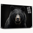 Black bear wall art collection featuring an acrylic glass side view with decorative pins, showcasing intricate bear design, ideal for nature-themed decor.