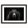 Framed wall art featuring a striking black bear design with a sleek black mat, perfect for enhancing modern home decor and nature-themed interiors.