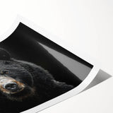 Black bear design wall art print showcasing a detailed illustration of a bear against a natural backdrop, rolled for easy shipping and display. Perfect for wildlife enthusiasts.