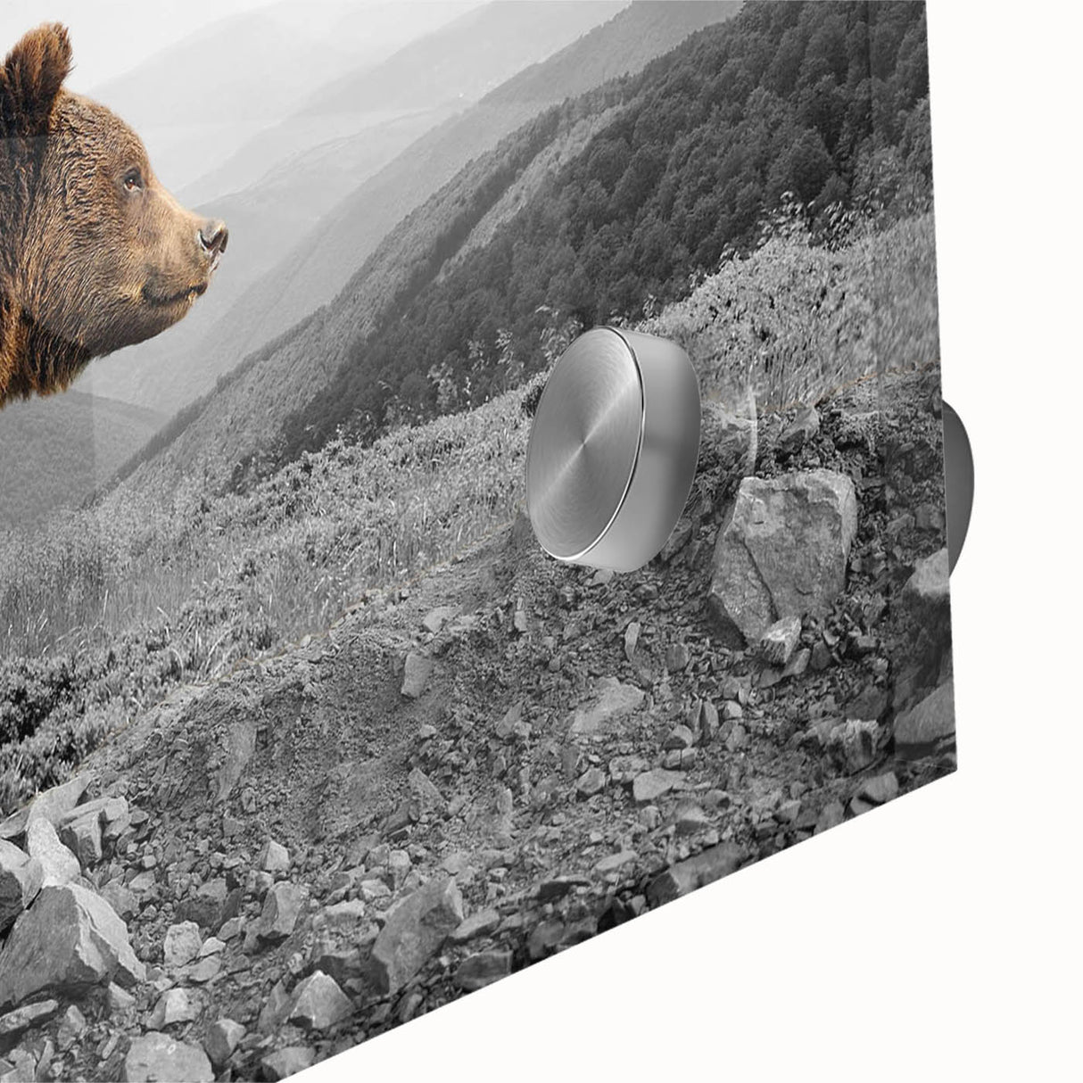 Close-up of a brown bear wall art piece showcasing intricate details and vibrant colors, printed on acrylic glass, perfect for nature-themed decor.