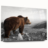 Brown bear wall art design showcased in a sleek acrylic frame, highlighting the detailed fur texture and realistic features, ideal for wildlife enthusiasts.
