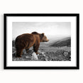 Brown bear wall art framed with a black mat, showcasing intricate details and a modern design, perfect for nature-themed decor and wildlife enthusiasts.