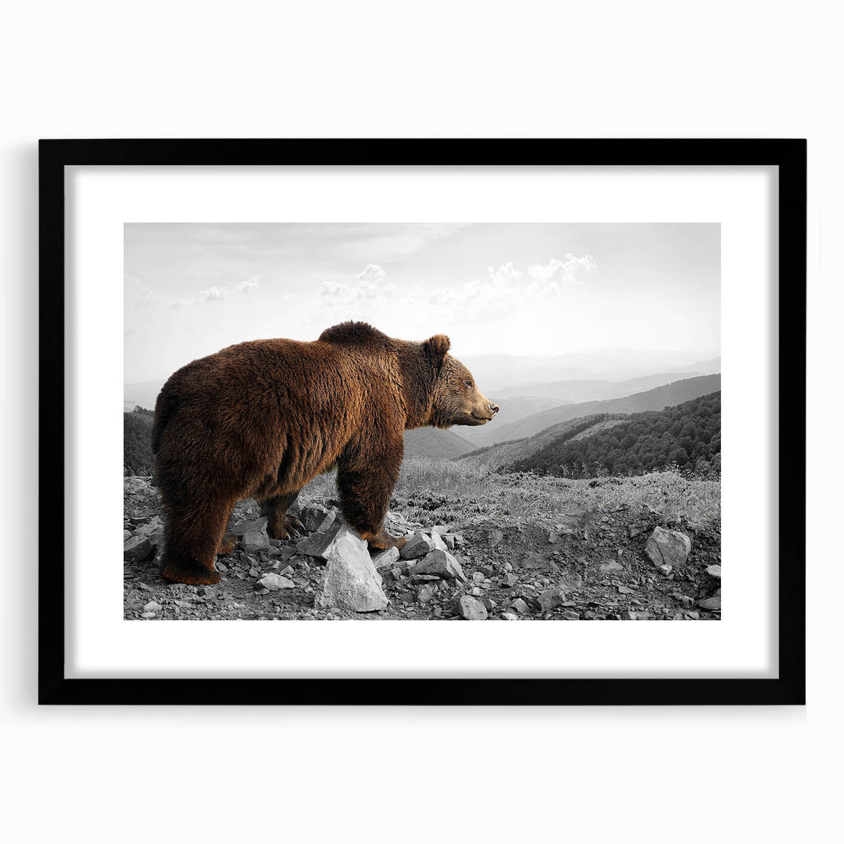 Brown bear wall art framed with a black mat, showcasing intricate details and a modern design, perfect for nature-themed decor and wildlife enthusiasts.