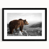 Brown bear wall art framed with a black mat, showcasing intricate details and a modern design, perfect for nature-themed decor and wildlife enthusiasts.