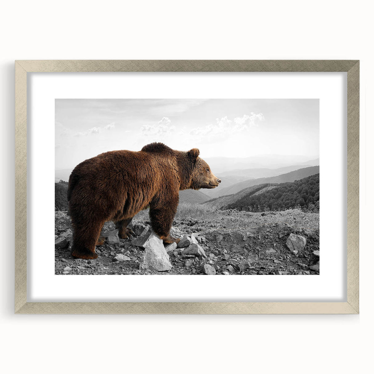 Framed wall art depicting a brown bear design, showcasing intricate details and textures, with a silver frame and mat, perfect for nature-themed decor.