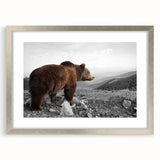 Framed wall art depicting a brown bear design, showcasing intricate details and textures, with a silver frame and mat, perfect for nature-themed decor.