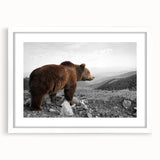 Brown bear wall art print framed in white, showcasing intricate design details and a modern aesthetic, perfect for enhancing home decor with wildlife themes.