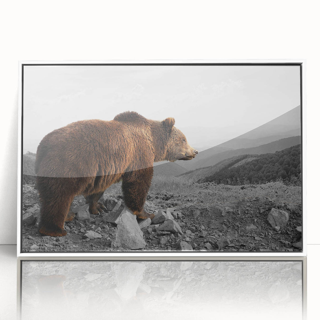 Framed wall art featuring a brown bear design on acrylic with a sleek white frame, showcasing a modern aesthetic ideal for nature-themed decor.