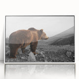 Framed wall art featuring a brown bear design on acrylic with a sleek white frame, showcasing a modern aesthetic ideal for nature-themed decor.