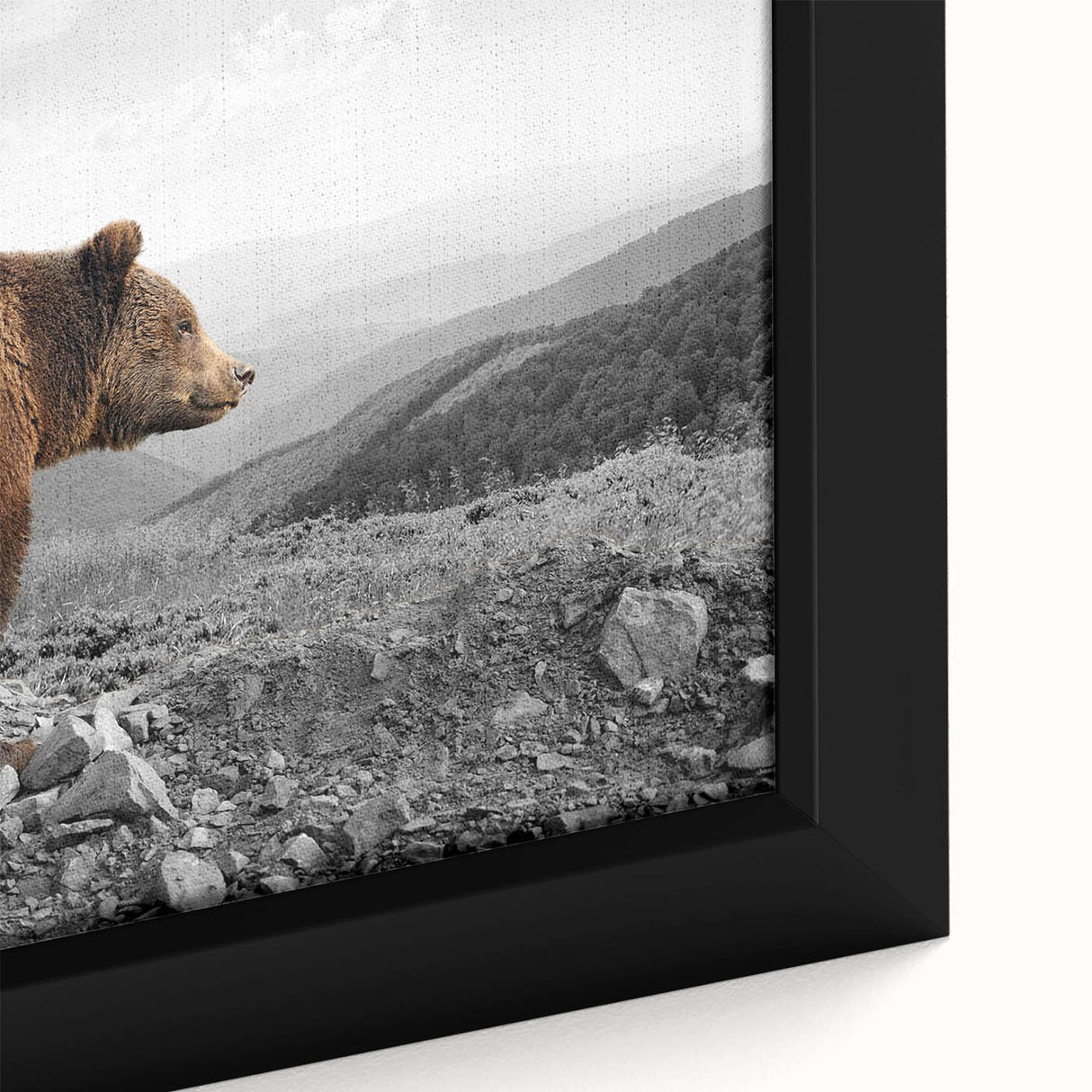 Close-up of a framed brown bear wall art canvas, showcasing detailed fur texture and vibrant colors, perfect for nature-themed home decor and wildlife enthusiasts.