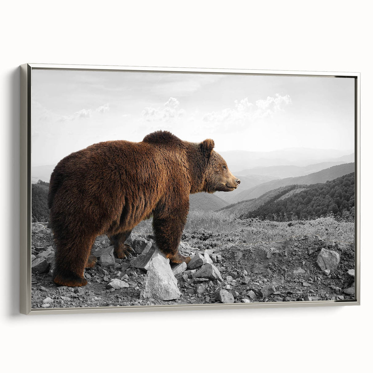 Framed canvas wall art showcasing a brown bear design, featuring a silver frame and side view, perfect for nature-themed home decor. Ideal for wildlife enthusiasts.