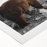 Brown bear wall art on rolled canvas, showcasing a detailed illustration of a bear in a natural setting, perfect for wildlife enthusiasts and home decor.