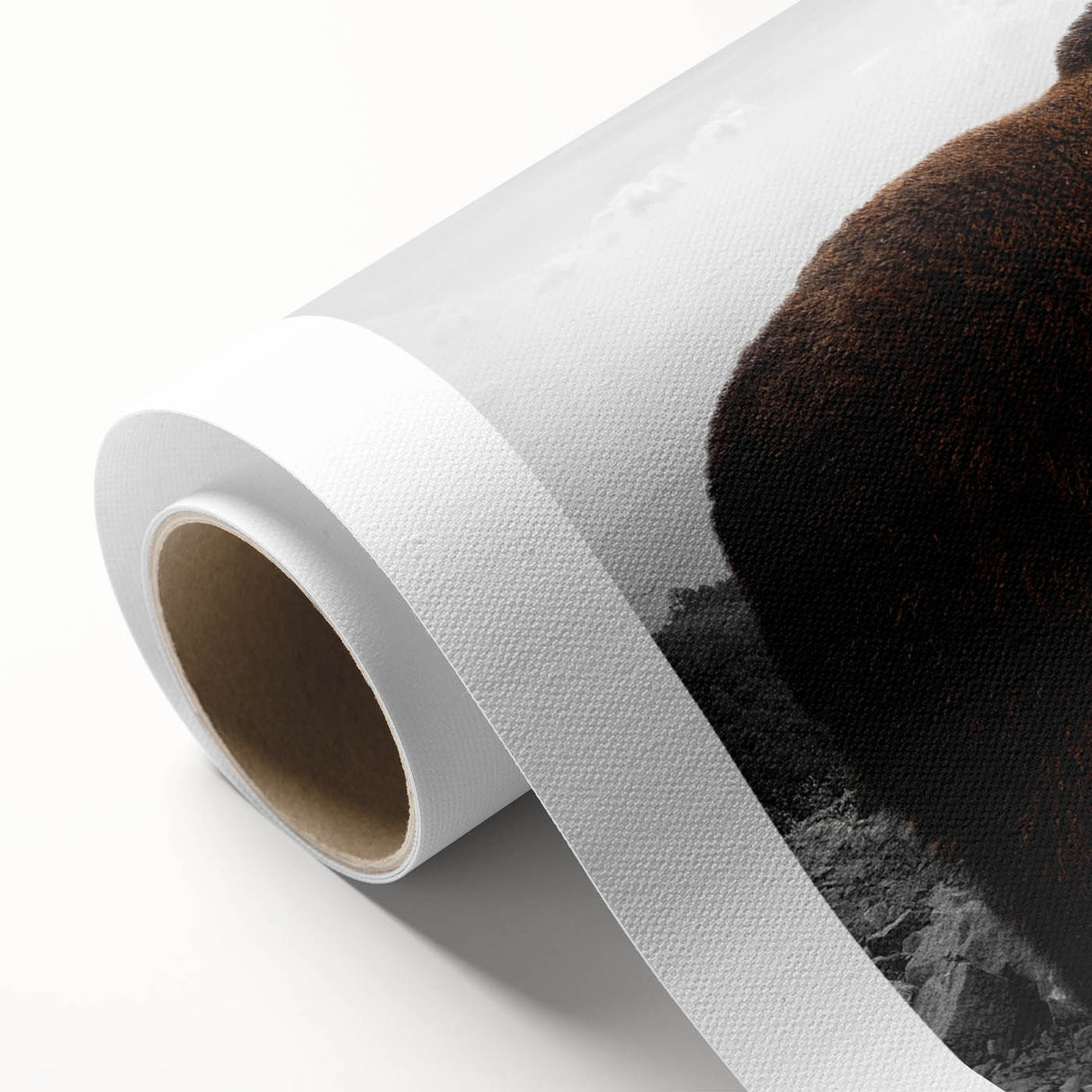 Brown bear wall art design on rolled canvas, showcasing a detailed illustration of a bear in a natural setting, perfect for wildlife enthusiasts or home decor.