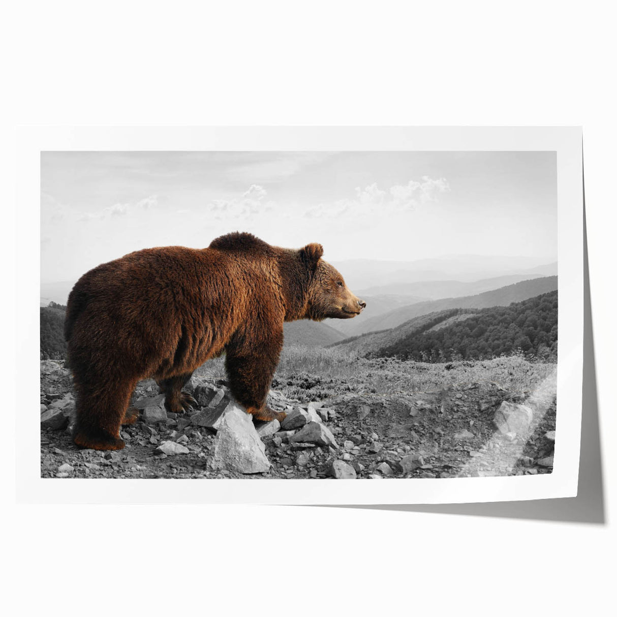 Brown bear design wall art print featuring a whimsical illustration of a bear surrounded by colorful elements, perfect for home decor or children's rooms.