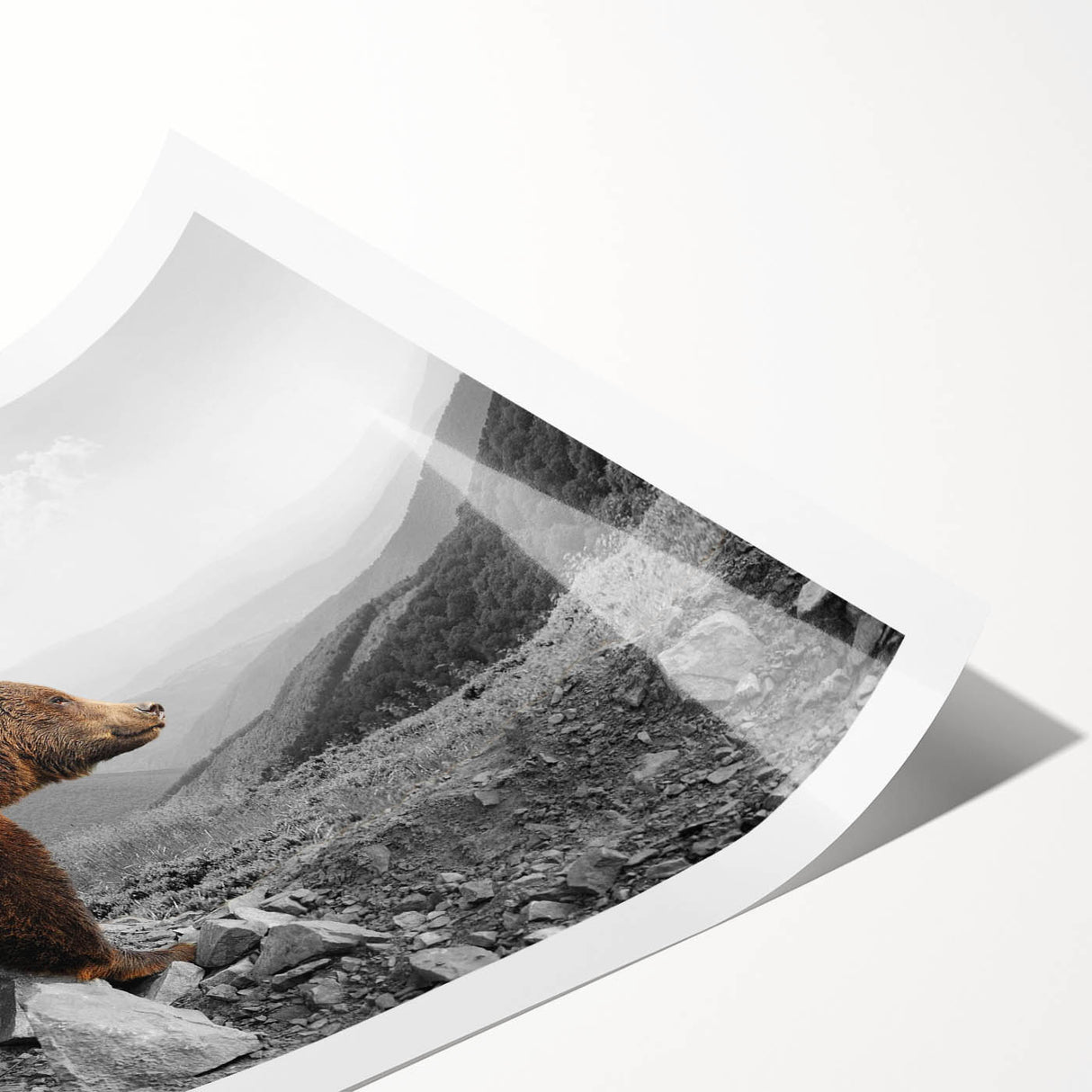 Brown bear wall art print showcasing a realistic design with intricate details, ideal for nature-themed decor. Perfect for animal lovers and wildlife enthusiasts.