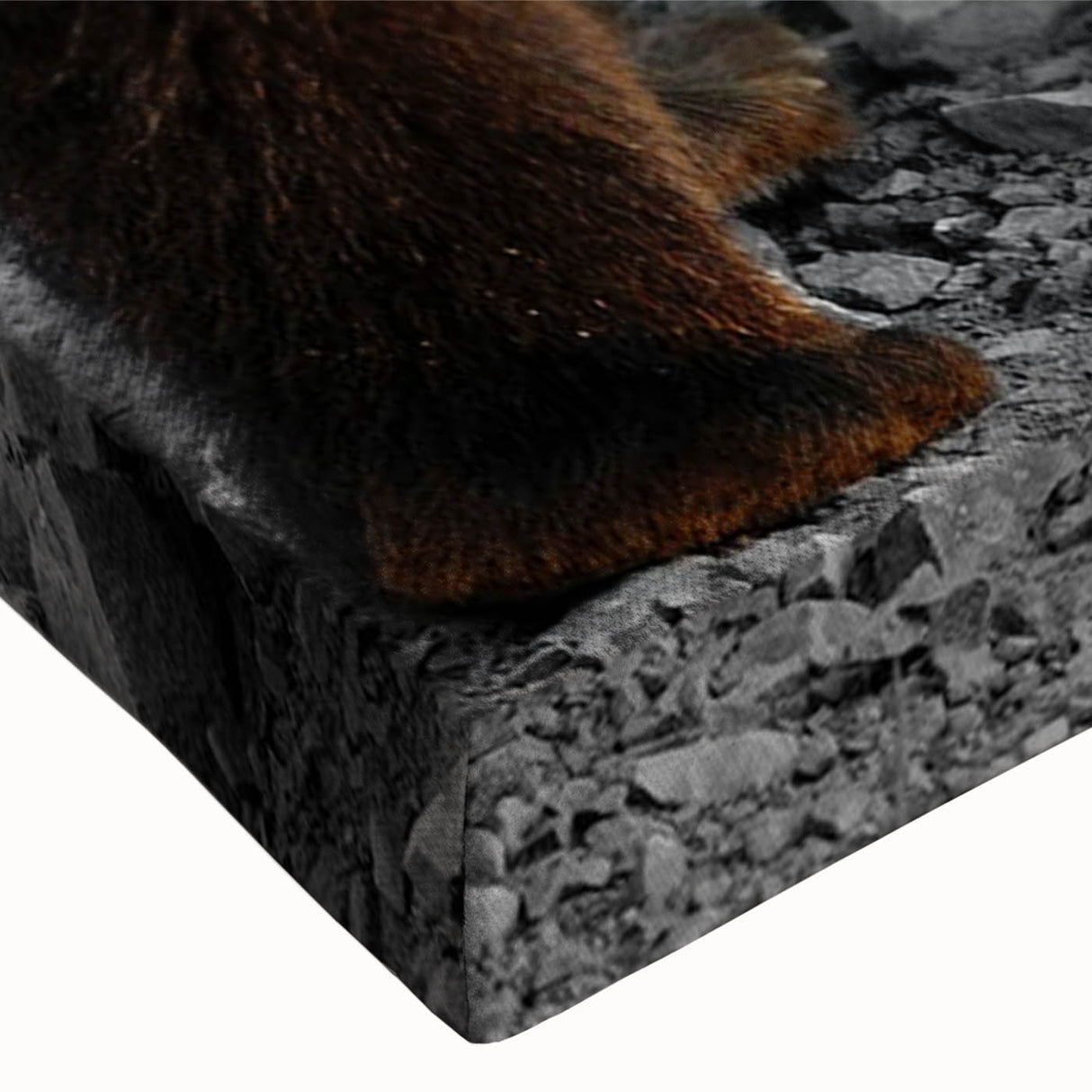 Close-up of a brown bear design stretched canvas wall art, showcasing rich textures and warm colors, perfect for nature-themed home decor. Ideal for wildlife enthusiasts.