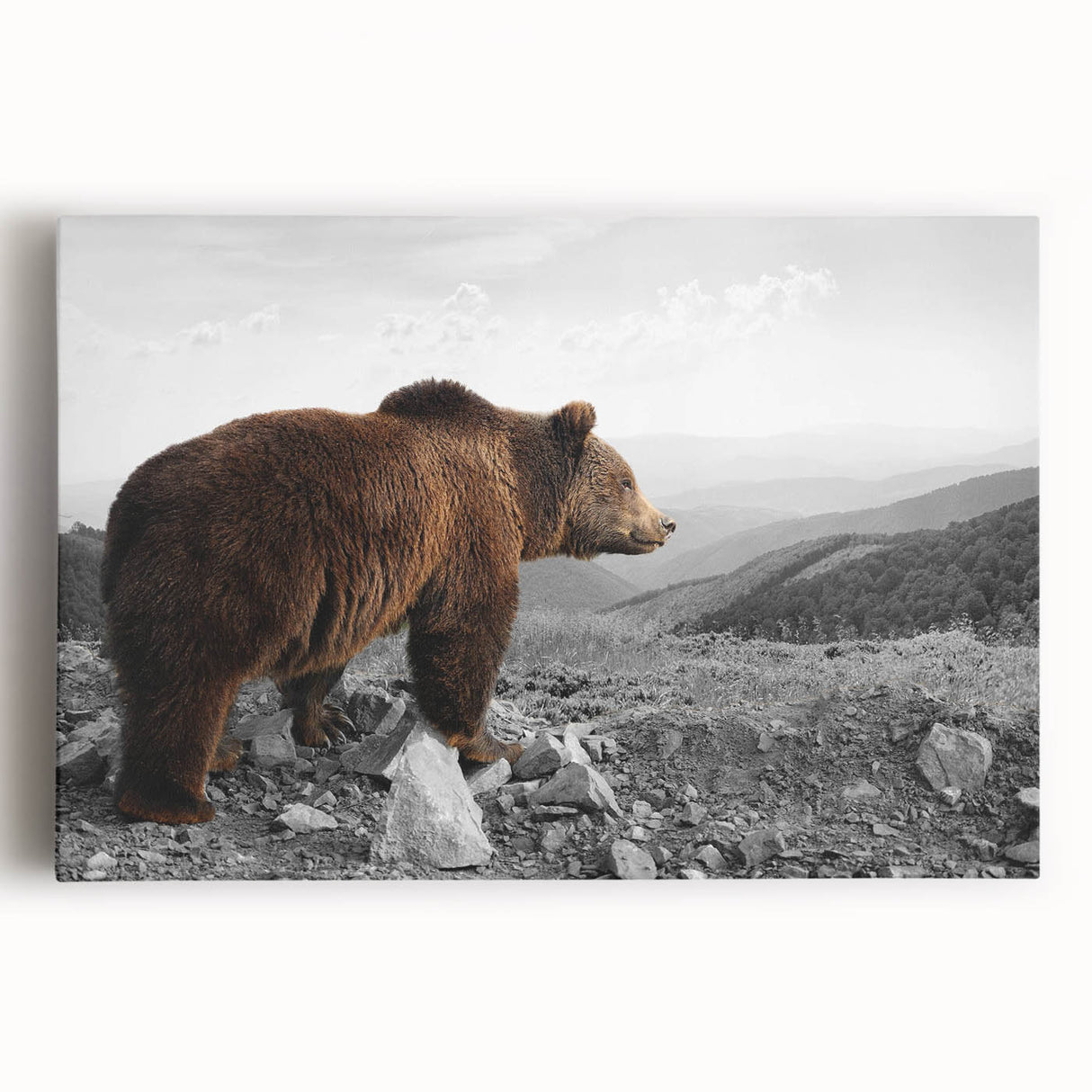 Brown bear wall art featuring a detailed design on stretched canvas, showcasing warm earthy tones, ideal for nature-themed decor in homes or offices.