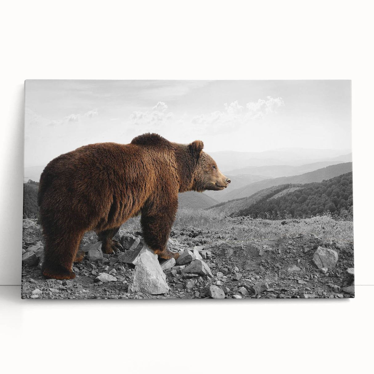 Brown bear wall art design printed on stretched canvas, leaning against a textured wall, showcasing vibrant colors and a natural aesthetic, ideal for home decor.