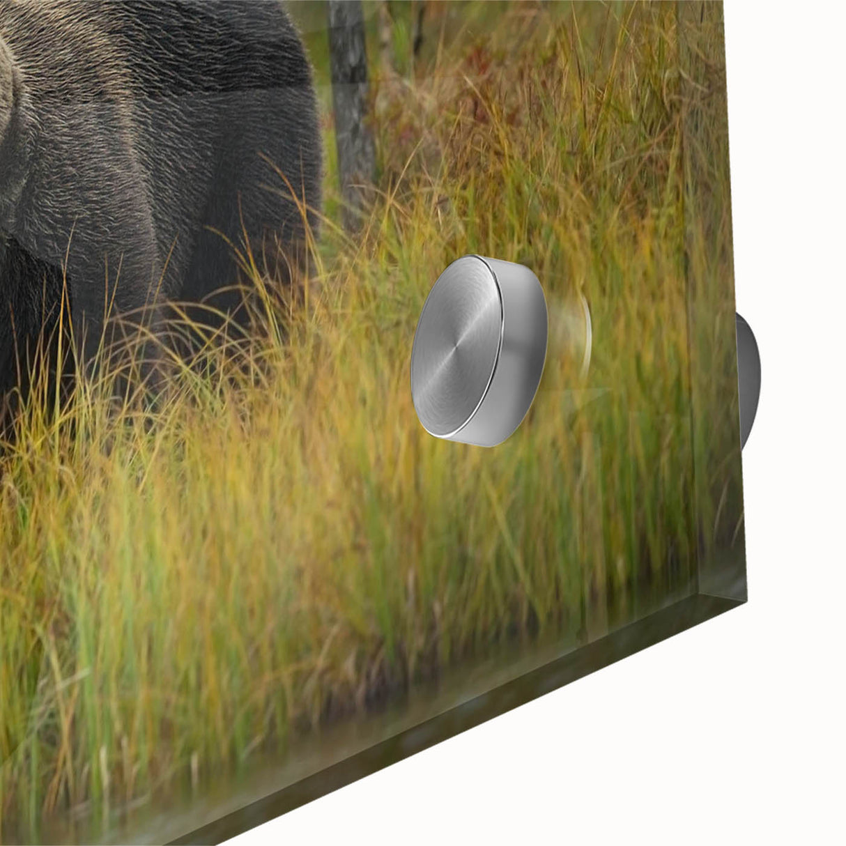 Close-up view of a brown bear design wall art piece, showcasing intricate details and vibrant colors, ideal for nature-themed home decor.