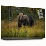 Brown bear wall art design displayed in an acrylic glass frame, showcasing a side view without pins, perfect for enhancing nature-themed decor.