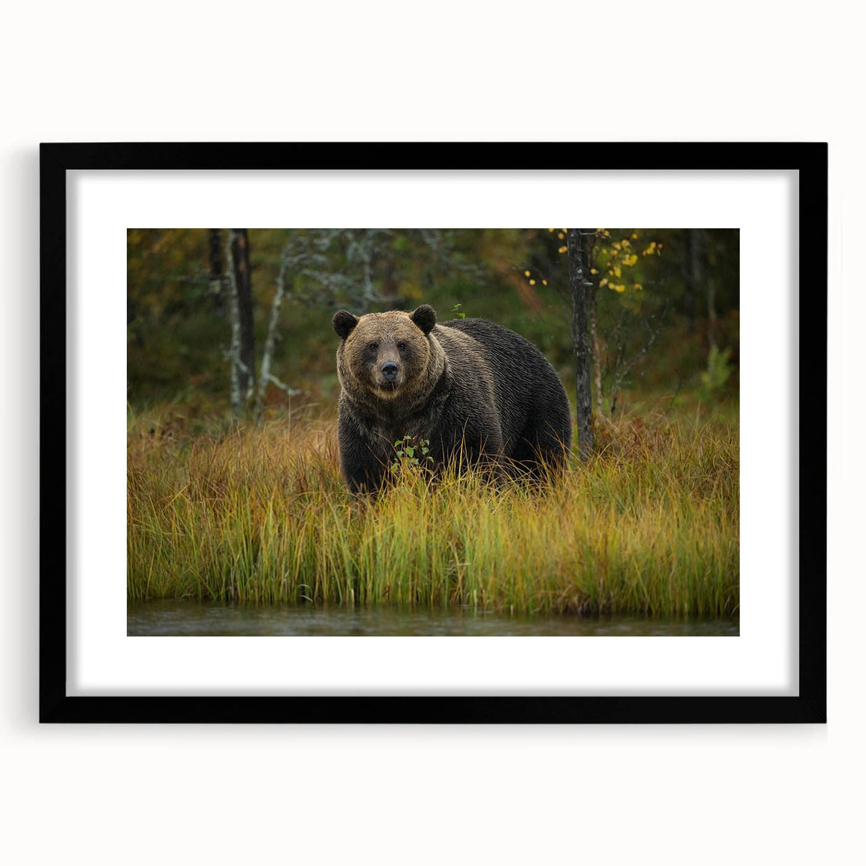 Framed wall art showcasing a charming brown bear design with a black frame and mat, perfect for enhancing cozy living spaces or children's rooms.