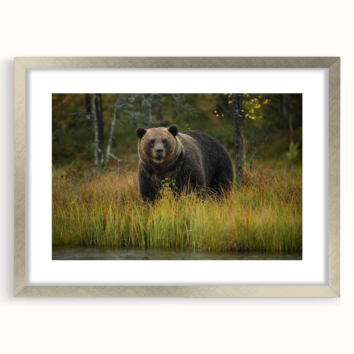 Brown bear wall art framed in silver with a mat, showcasing a detailed design against a neutral backdrop, perfect for nature-themed decor.