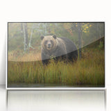 Framed wall art featuring a brown bear design, displayed in a sleek white frame, perfect for enhancing rustic or nature-themed home decor.