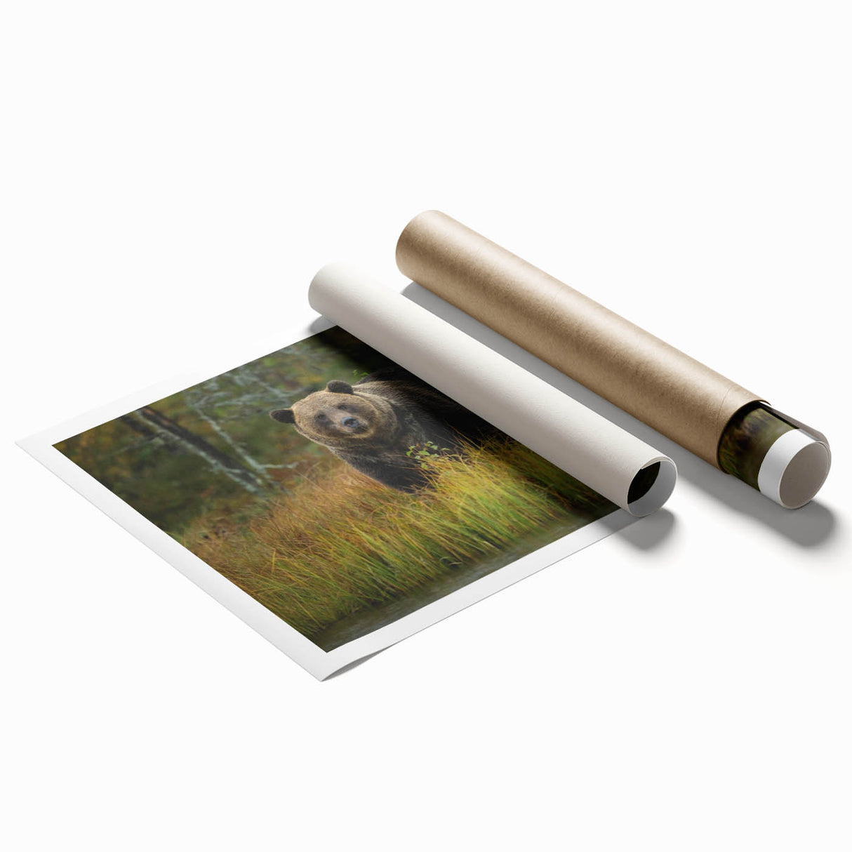 Brown bear-themed wall art print showcasing a minimalist design with earthy tones, ideal for nature-inspired decor. Perfect for adding warmth to any room.