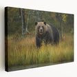 Stretched canvas wall art depicting a brown bear design in a natural landscape setting, showcasing rich colors and intricate details for a cozy home decor accent.