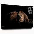 Brown bear wall art collection displayed in acrylic glass from a side view, highlighting its vibrant colors and intricate design, perfect for wildlife enthusiasts.