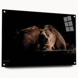 Brown bear wall art collection displayed in acrylic glass from a side view, highlighting its vibrant colors and intricate design, perfect for wildlife enthusiasts.