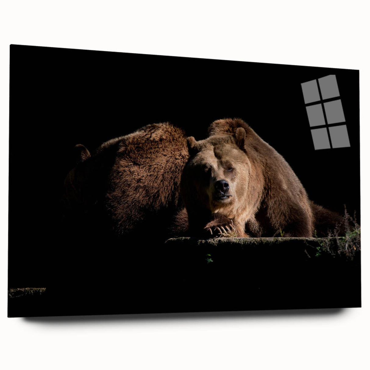 Acrylic wall art featuring a brown bear design, displayed elegantly from a side view, showcasing rich colors and intricate details, perfect for nature-themed decor.