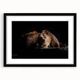 Framed wall art featuring a brown bear design, showcased in a sleek black frame with a mat, perfect for nature-themed home decor and wildlife enthusiasts.