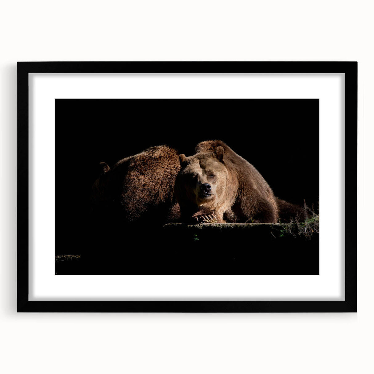 Framed wall art featuring a brown bear design, showcased in a sleek black frame with a mat, perfect for nature-themed home decor and wildlife enthusiasts.