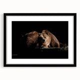 Framed wall art featuring a brown bear design, showcased in a sleek black frame with a mat, perfect for nature-themed home decor and wildlife enthusiasts.