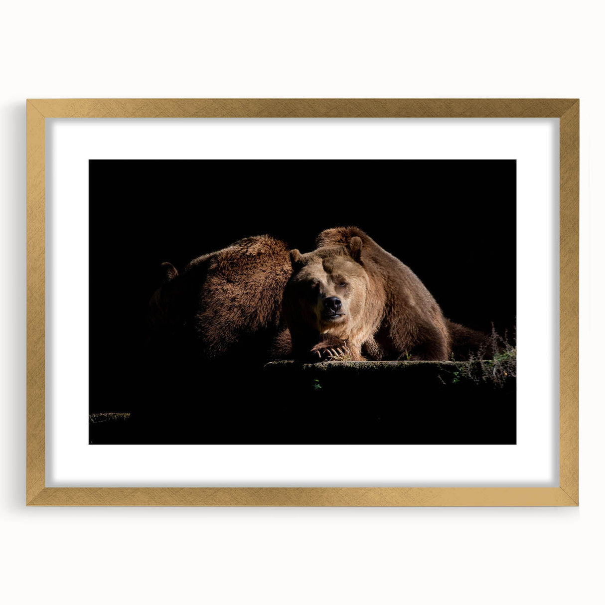 Brown bear wall art design in a gold frame with matting, showcasing a detailed illustration of a bear in natural colors, perfect for rustic home decor.