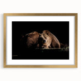 Brown bear wall art design in a gold frame with matting, showcasing a detailed illustration of a bear in natural colors, perfect for rustic home decor.