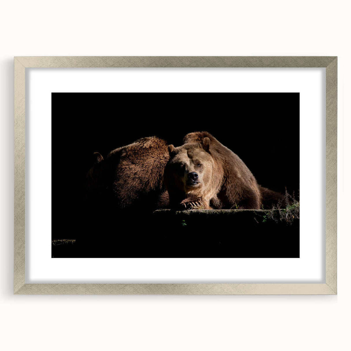 Brown bear wall art collection framed with a silver mat, showcasing a detailed illustration of a bear against a minimalist background, perfect for nature-themed decor.
