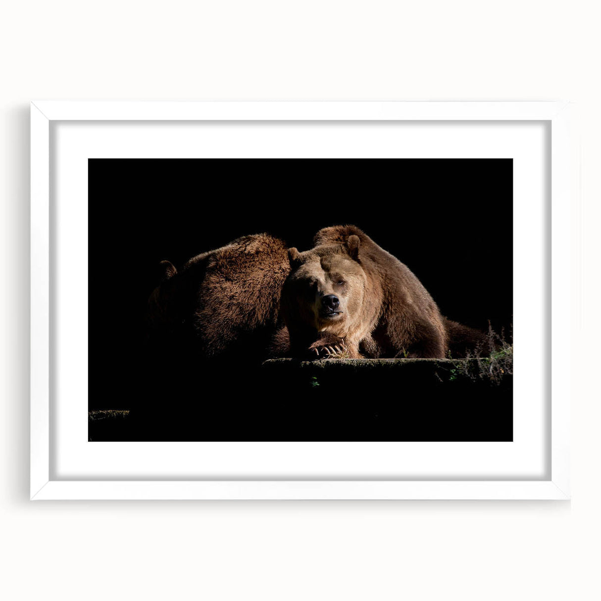 Brown bear wall art print featuring a playful bear design in a white frame with a mat, ideal for children's rooms or nature-themed decor, showcasing a cute and whimsical aesthetic.