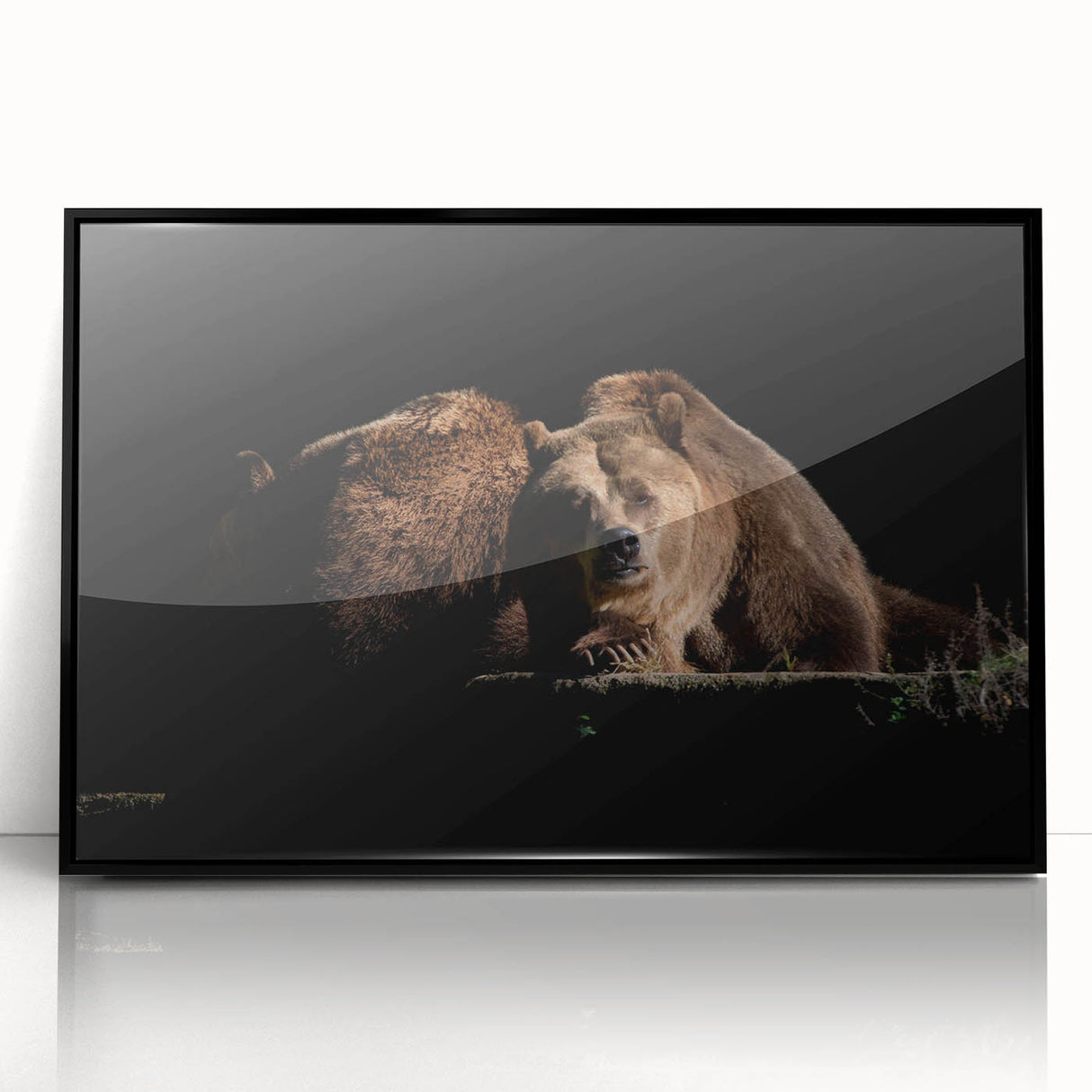 Framed wall art featuring a brown bear design, presented in an elegant black frame with an acrylic front, ideal for nature-themed home decor.