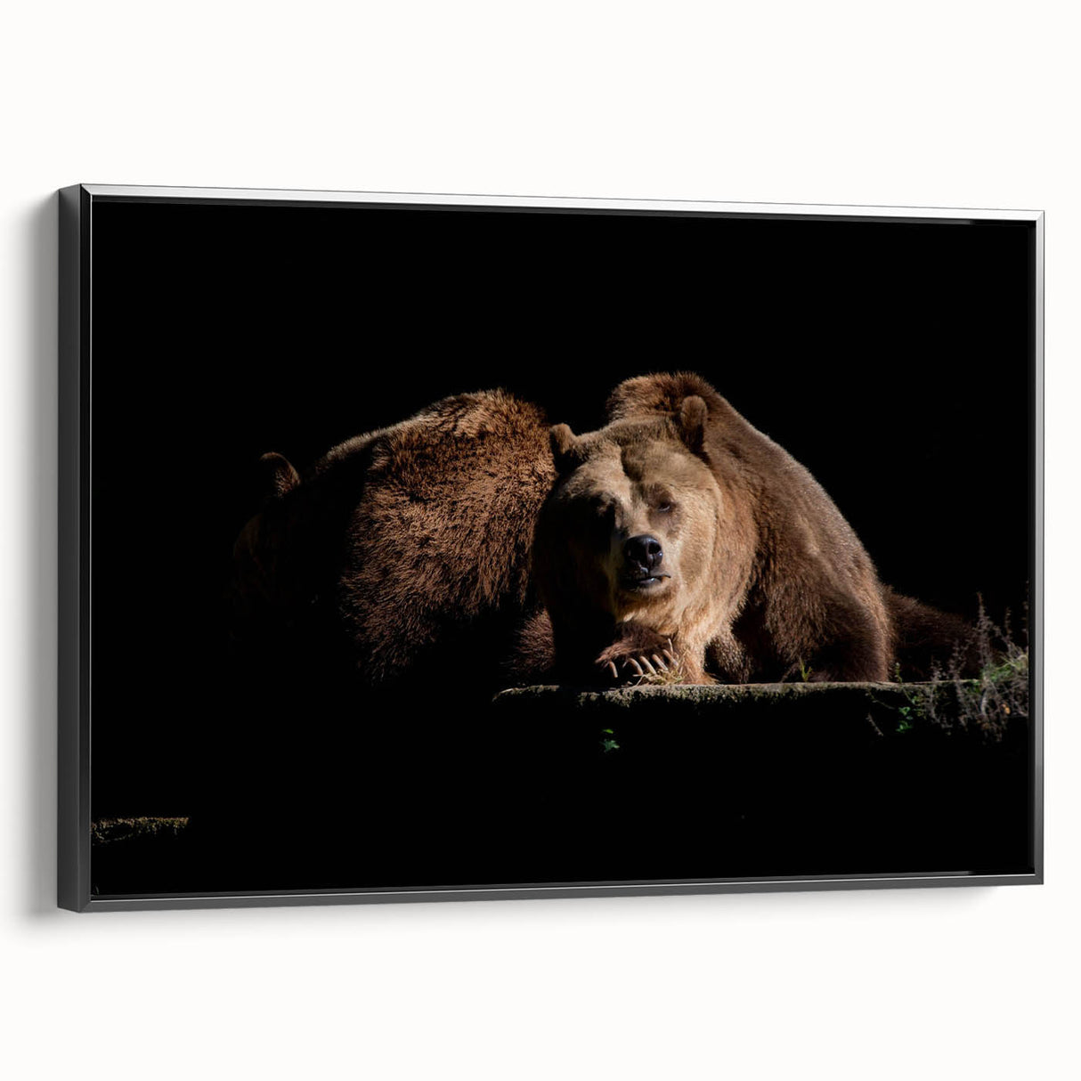Framed canvas wall art featuring a brown bear design, showcasing intricate details and rich colors, displayed against a black background to enhance its visual appeal.
