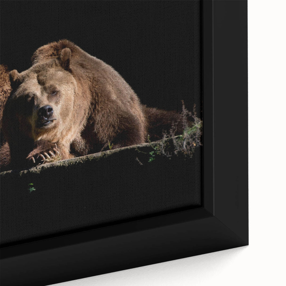 Close-up of a framed brown bear wall art piece, showcasing intricate details and a textured surface, perfect for nature-themed home decor.