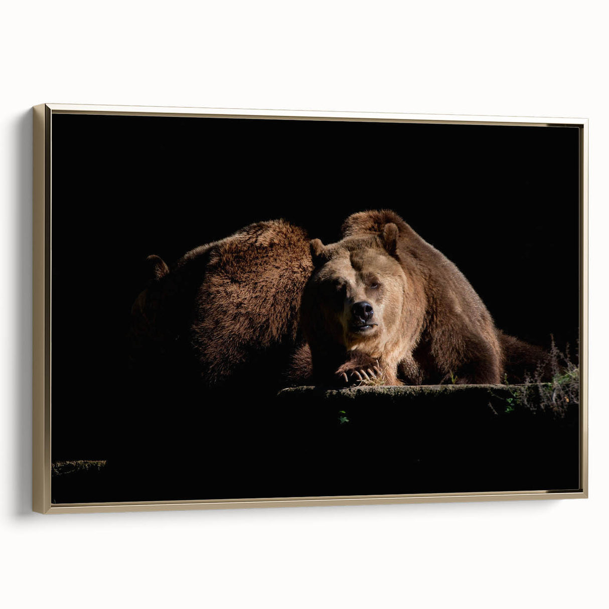 Framed canvas wall art featuring a brown bear design, elegantly displayed with a gold frame, ideal for nature-themed decor in living spaces.