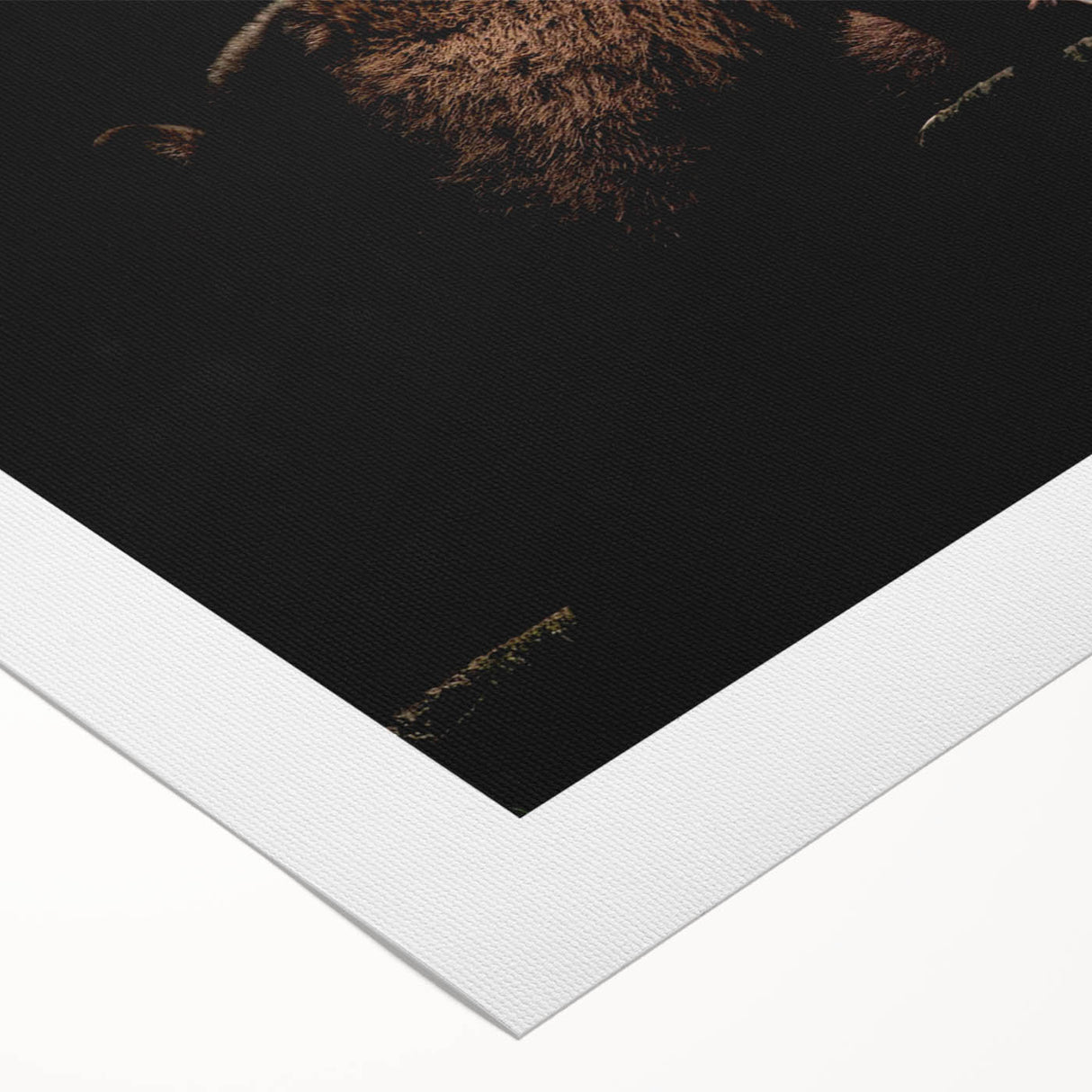 Brown bear design wall art on rolled canvas, showcasing a detailed illustration of a bear in natural tones, perfect for wildlife enthusiasts and home decor.