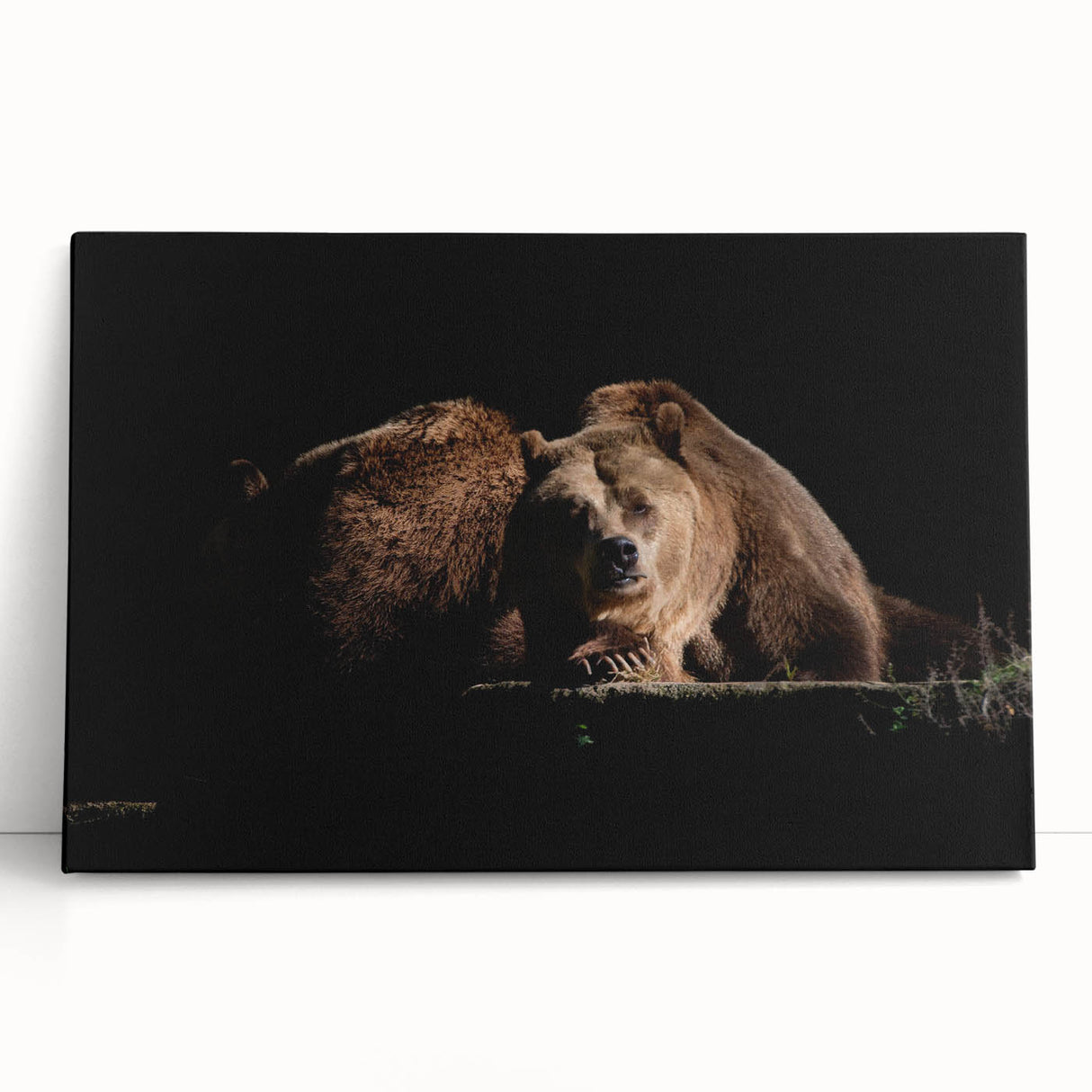 Brown bear wall art collection on stretched canvas, showcasing intricate detailing and rich colors, perfect for nature-themed decor. Ideal for animal lovers.